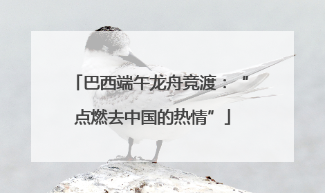 巴西端午龙舟竞渡：“点燃去中国的热情”