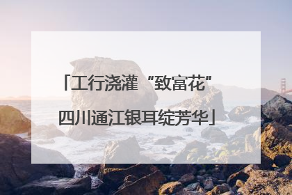 工行浇灌“致富花” 四川通江银耳绽芳华