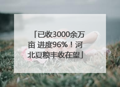 已收3000余万亩 进度96%！河北夏粮丰收在望