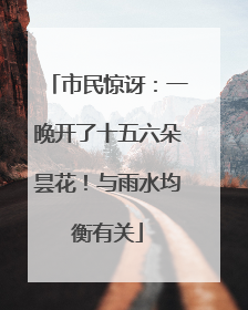 市民惊讶：一晚开了十五六朵昙花！与雨水均衡有关