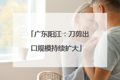 广东阳江：刀剪出口规模持续扩大