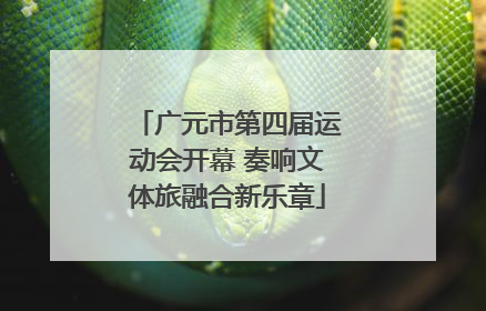 广元市第四届运动会开幕 奏响文体旅融合新乐章