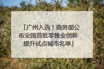广州入选！商务部公布全国首批零售业创新提升试点城市名单