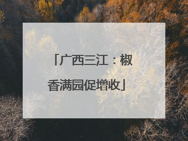 广西三江：椒香满园促增收