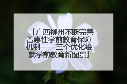 广西柳州不断完善普惠性学前教育保障机制——三个优化绘就学前教育新图景