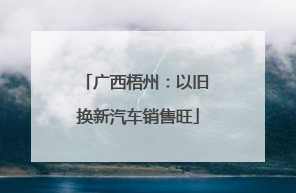 广西梧州：以旧换新汽车销售旺