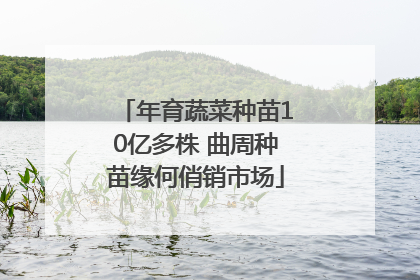 年育蔬菜种苗10亿多株 曲周种苗缘何俏销市场
