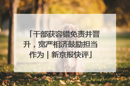 干部获容错免责并晋升，宽严相济鼓励担当作为｜新京报快评