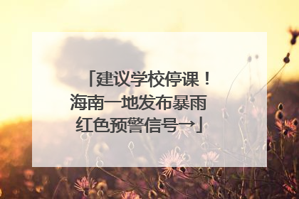 建议学校停课！海南一地发布暴雨红色预警信号→