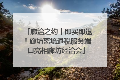 廊洽之约丨即买即退！廊坊离境退税服务端口亮相廊坊经洽会