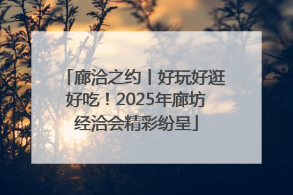 廊洽之约丨好玩好逛好吃！2025年廊坊经洽会精彩纷呈