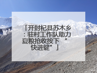 开封杞县苏木乡：驻村工作队助力夏粮抢收按下 “快进键”