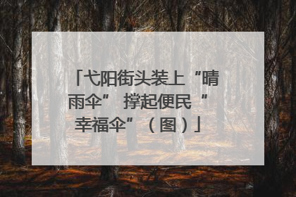 弋阳街头装上“晴雨伞” 撑起便民“幸福伞”（图）