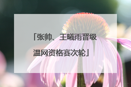 张帅、王曦雨晋级温网资格赛次轮
