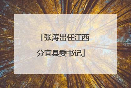 张涛出任江西分宜县委书记