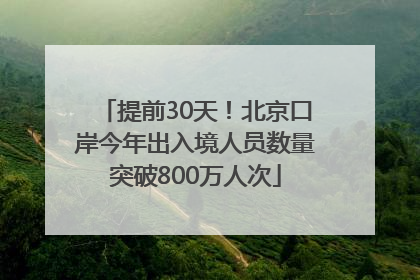 提前30天！北京口岸今年出入境人员数量突破800万人次