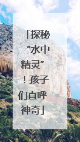 探秘“水中精灵”！孩子们直呼神奇