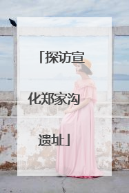 探访宣化郑家沟遗址