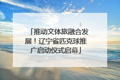 推动文体旅融合发展！辽宁省匹克球推广启动仪式启幕