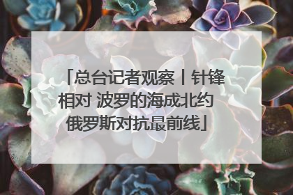 总台记者观察丨针锋相对 波罗的海成北约俄罗斯对抗最前线