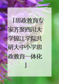 思政教育专家齐聚四川大学锦江学院共研大中小学思政教育一体化