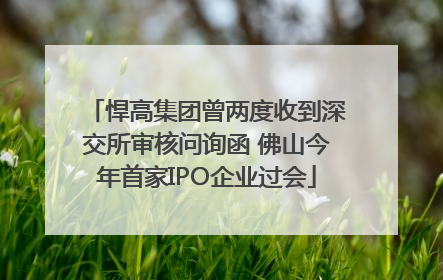 悍高集团曾两度收到深交所审核问询函 佛山今年首家IPO企业过会
