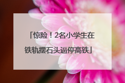 惊险！2名小学生在铁轨摆石头逼停高铁