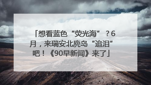 想看蓝色“荧光海”？6月，来瑞安北麂岛“追泪”吧！《90早新闻》来了