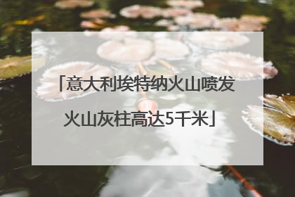 意大利埃特纳火山喷发 火山灰柱高达5千米