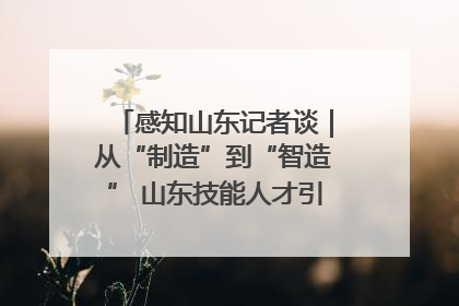 感知山东记者谈｜从“制造”到“智造” 山东技能人才引领产业升级