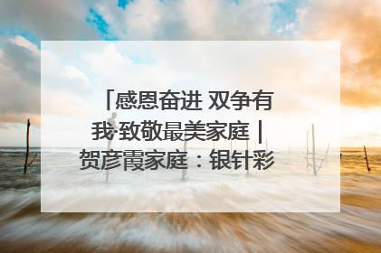 感恩奋进 双争有我·致敬最美家庭｜贺彦霞家庭：银针彩线绣出好日子