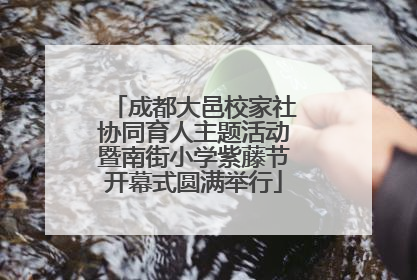 成都大邑校家社协同育人主题活动暨南街小学紫藤节开幕式圆满举行