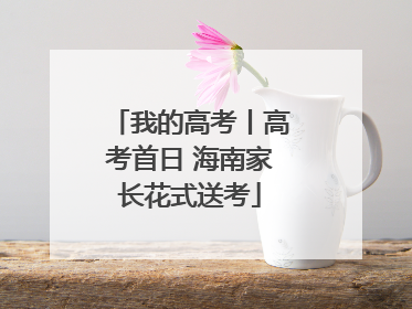 我的高考丨高考首日 海南家长花式送考