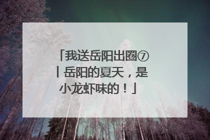 我送岳阳出圈⑦丨岳阳的夏天，是小龙虾味的！