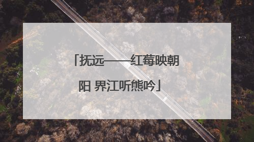 抚远——红莓映朝阳 界江听熊吟
