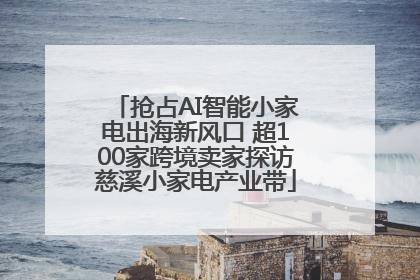 抢占AI智能小家电出海新风口 超100家跨境卖家探访慈溪小家电产业带