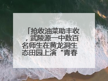 抢收油菜助丰收，武陵源一中数百名师生在黄龙洞生态田园上演“青春助农记”