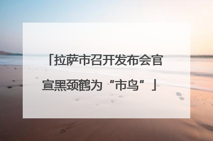 拉萨市召开发布会官宣黑颈鹤为“市鸟”