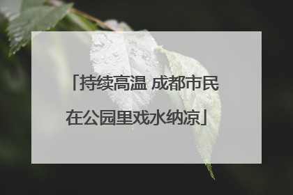 持续高温 成都市民在公园里戏水纳凉