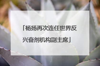 杨扬再次连任世界反兴奋剂机构副主席