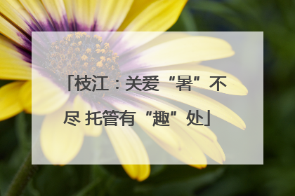 枝江：关爱“暑”不尽 托管有“趣”处