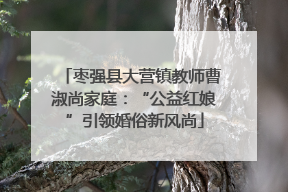 枣强县大营镇教师曹淑尚家庭：“公益红娘”引领婚俗新风尚