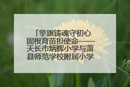 擎旗铸魂守初心 固根育苗担使命——天长市炳辉小学与萧县师范学校附属小学结对共建活动纪实