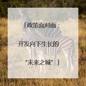 政策面对面：开发向下生长的“未来之城”