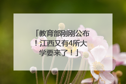 教育部刚刚公布！江西又有4所大学要来了！