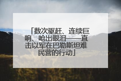 数次驱赶、连续巨响、呛出眼泪——直击以军在巴勒斯坦难民营的行动