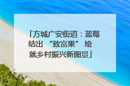 方城广安街道：蓝莓结出 “致富果” 绘就乡村振兴新图景