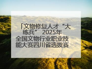 文物修复人才“大练兵” 2025年全国文物行业职业技能大赛四川省选拔赛即将启幕