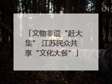 文物非遗“赶大集” 江苏民众共享“文化大餐”