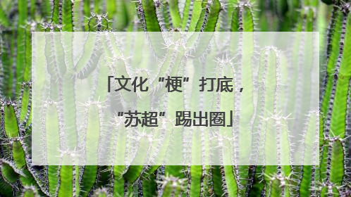 文化“梗”打底，“苏超”踢出圈